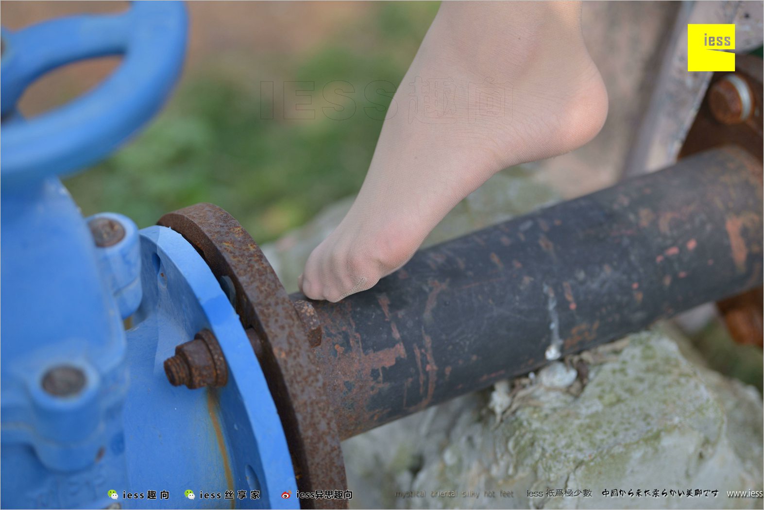 图片[13]-[IESS异思趣向] 2018.04.11 丝足便当215：《足鉴》馨月 在线浏览 – 速更版-美库