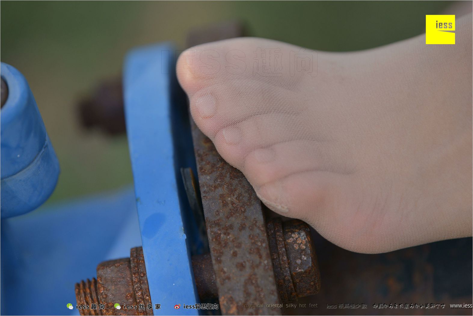 图片[88]-[IESS异思趣向] 2018.04.11 丝足便当215：《足鉴》馨月 在线浏览 – 速更版-美库