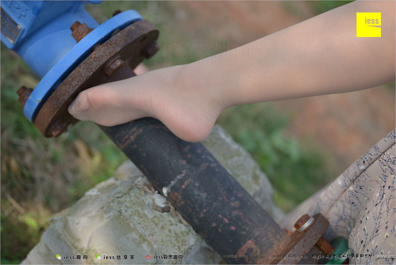 图片[83]-[IESS异思趣向] 2018.04.11 丝足便当215：《足鉴》馨月 在线浏览 – 速更版-美库