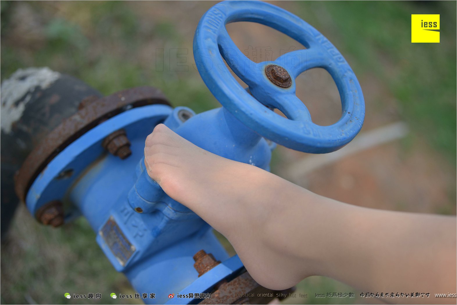 图片[22]-[IESS异思趣向] 2018.04.11 丝足便当215：《足鉴》馨月 在线浏览 – 速更版-美库