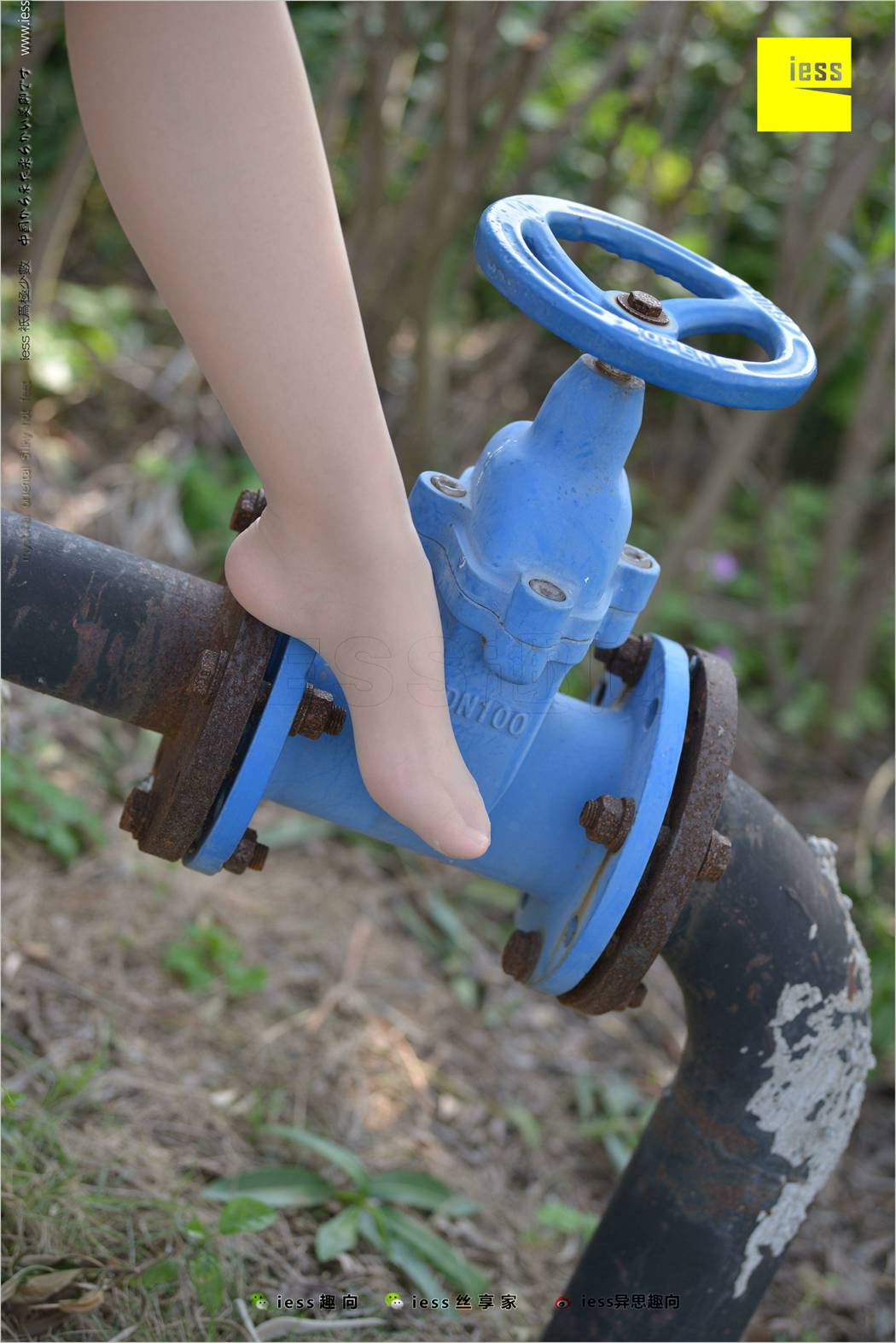 图片[18]-[IESS异思趣向] 2018.04.11 丝足便当215：《足鉴》馨月 在线浏览 – 速更版-美库