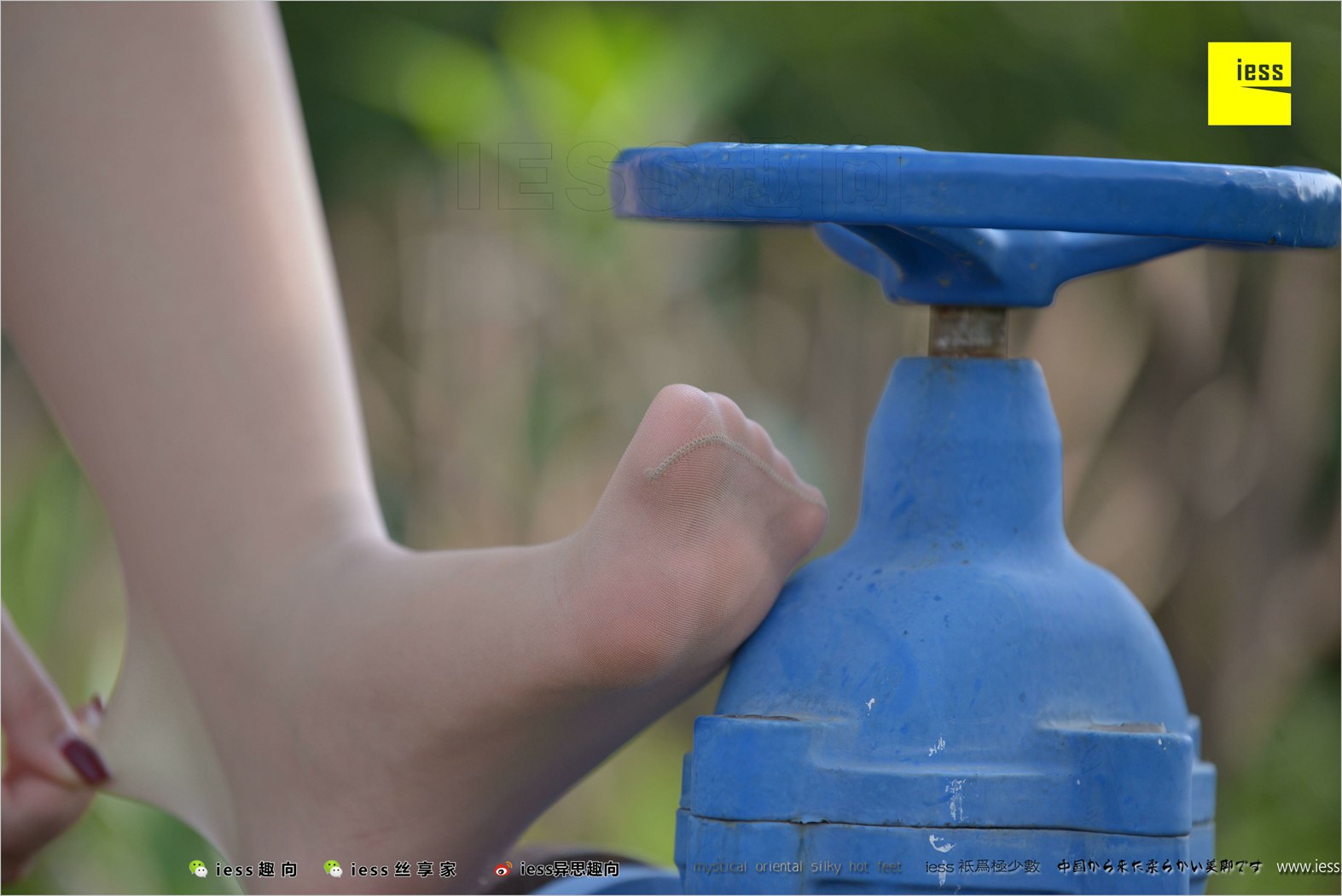 图片[93]-[IESS异思趣向] 2018.04.11 丝足便当215：《足鉴》馨月 在线浏览 – 速更版-美库