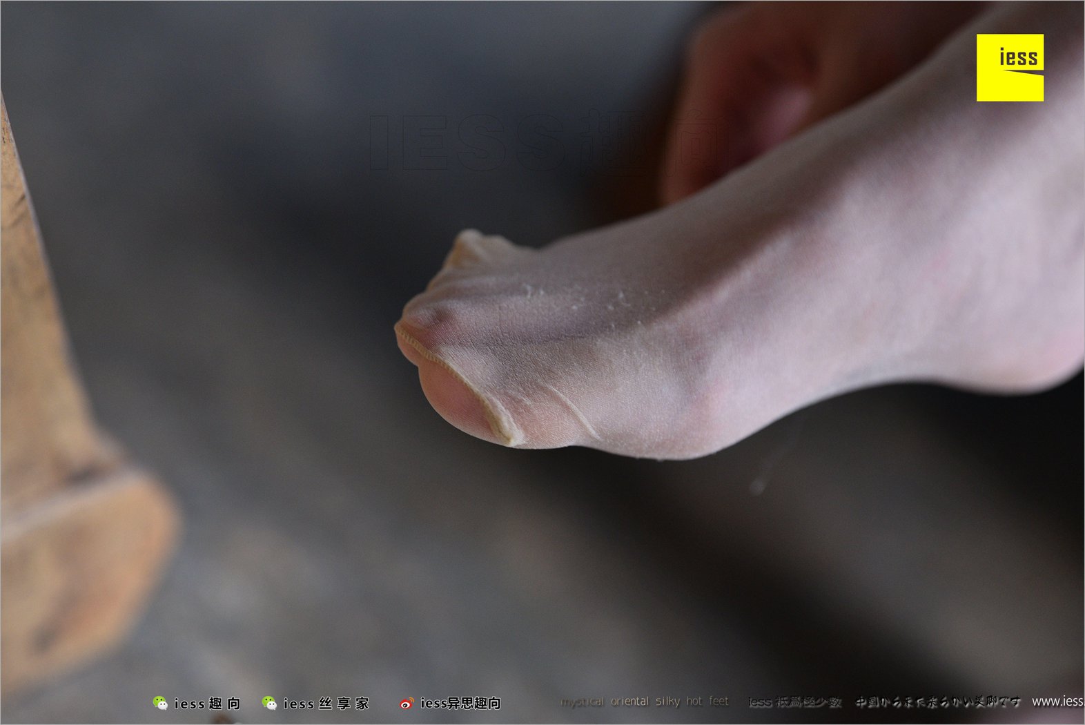 图片[61]-[IESS异思趣向] 2018.04.14 丝足便当217：《长丝和10片天然粉红的花瓣》春春 在线浏览 – 速更版-美库