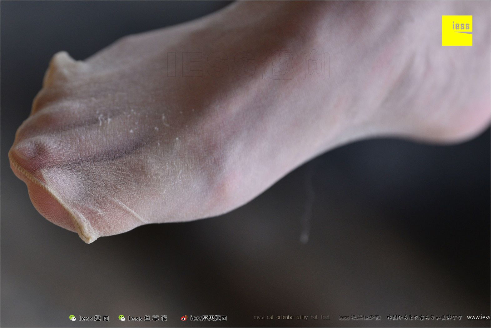 图片[30]-[IESS异思趣向] 2018.04.14 丝足便当217：《长丝和10片天然粉红的花瓣》春春 在线浏览 – 速更版-美库