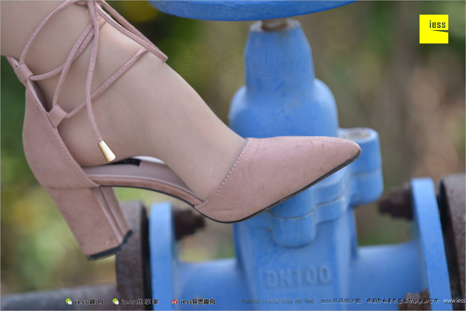 图片[20]-[IESS异思趣向] 2018.04.11 丝足便当215：《足鉴》馨月 在线浏览 – 速更版-美库