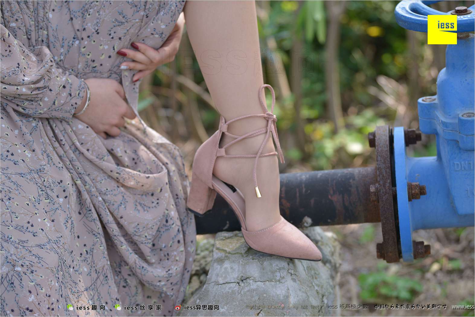 图片[6]-[IESS异思趣向] 2018.04.11 丝足便当215：《足鉴》馨月 在线浏览 – 速更版-美库