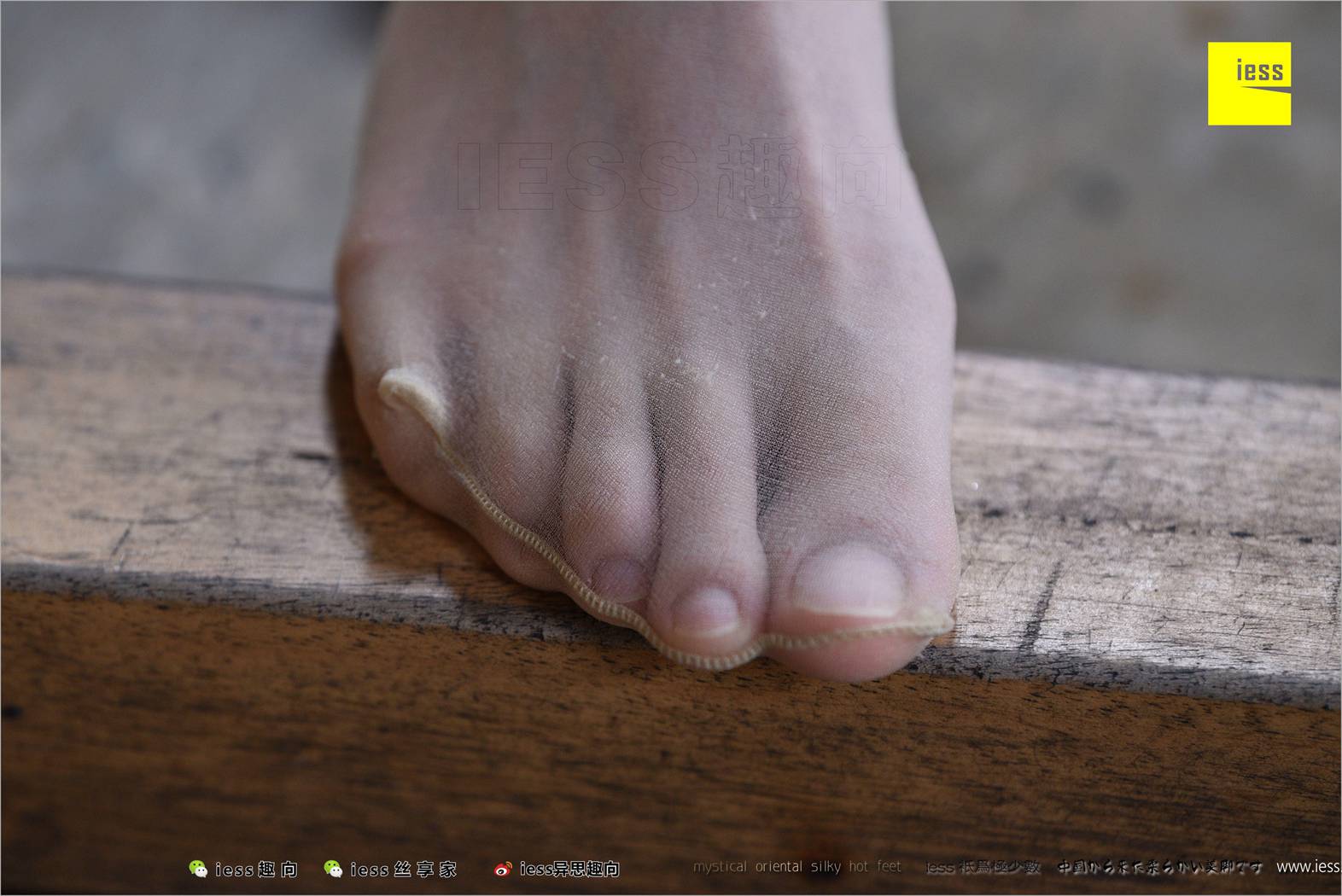 图片[86]-[IESS异思趣向] 2018.04.14 丝足便当217：《长丝和10片天然粉红的花瓣》春春 在线浏览 – 速更版-美库