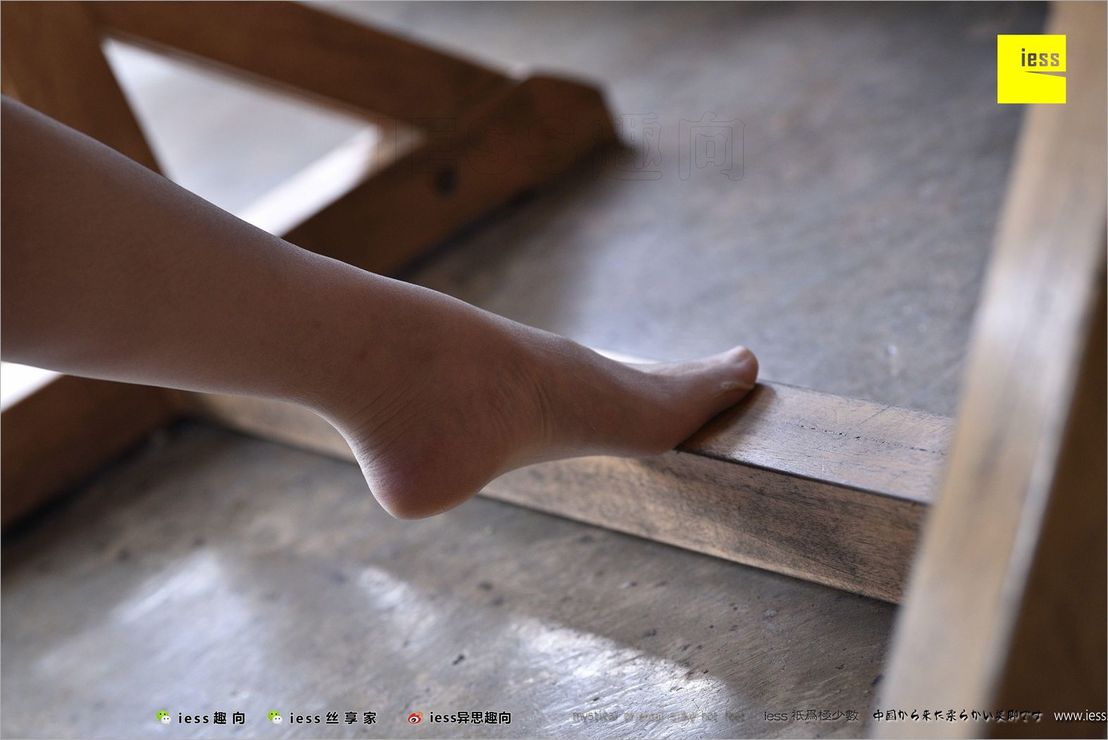 图片[12]-[IESS异思趣向] 2018.04.14 丝足便当217：《长丝和10片天然粉红的花瓣》春春 在线浏览 – 速更版-美库