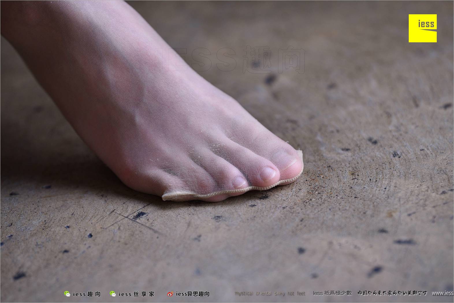 图片[63]-[IESS异思趣向] 2018.04.14 丝足便当217：《长丝和10片天然粉红的花瓣》春春 在线浏览 – 速更版-美库