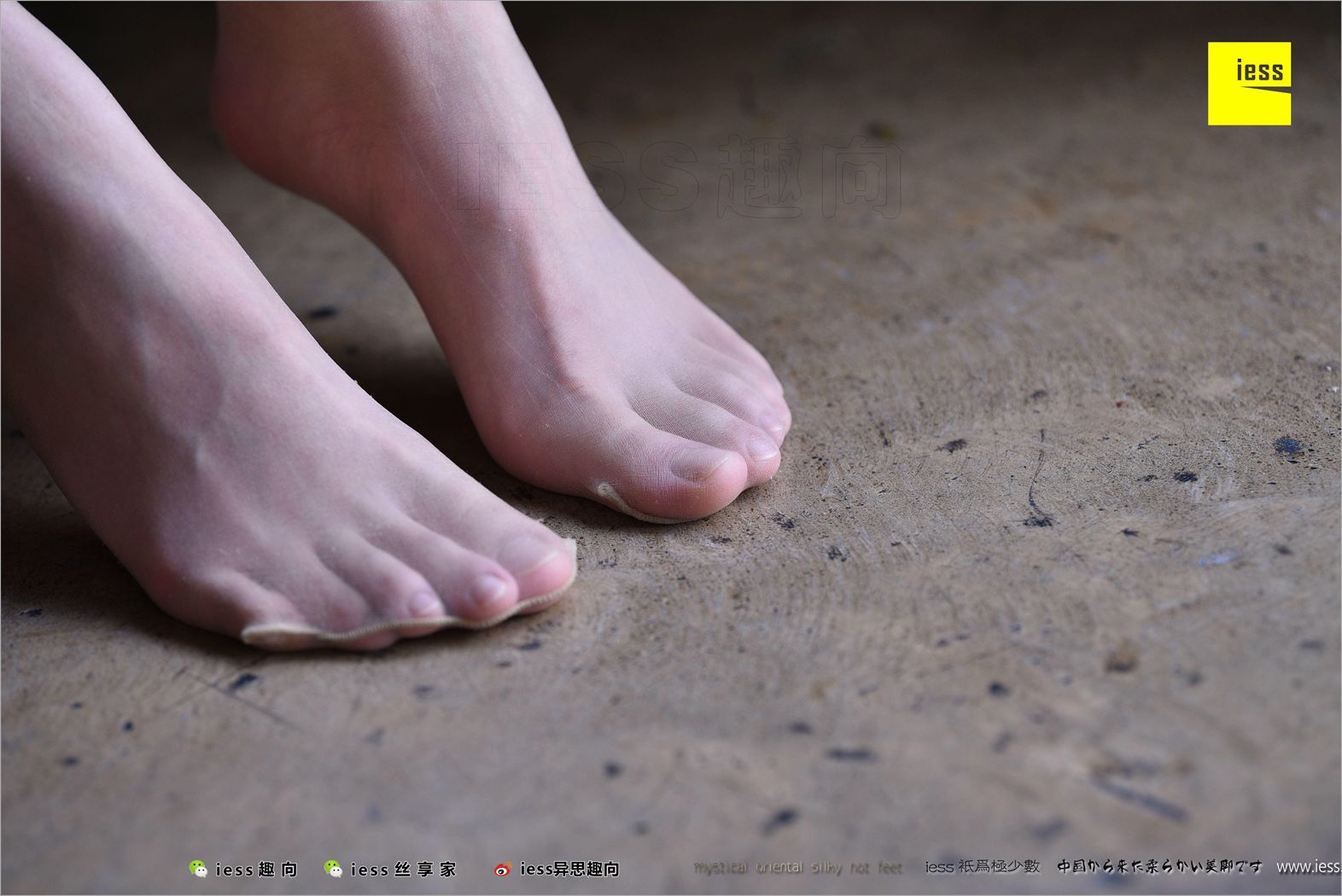 图片[90]-[IESS异思趣向] 2018.04.14 丝足便当217：《长丝和10片天然粉红的花瓣》春春 在线浏览 – 速更版-美库