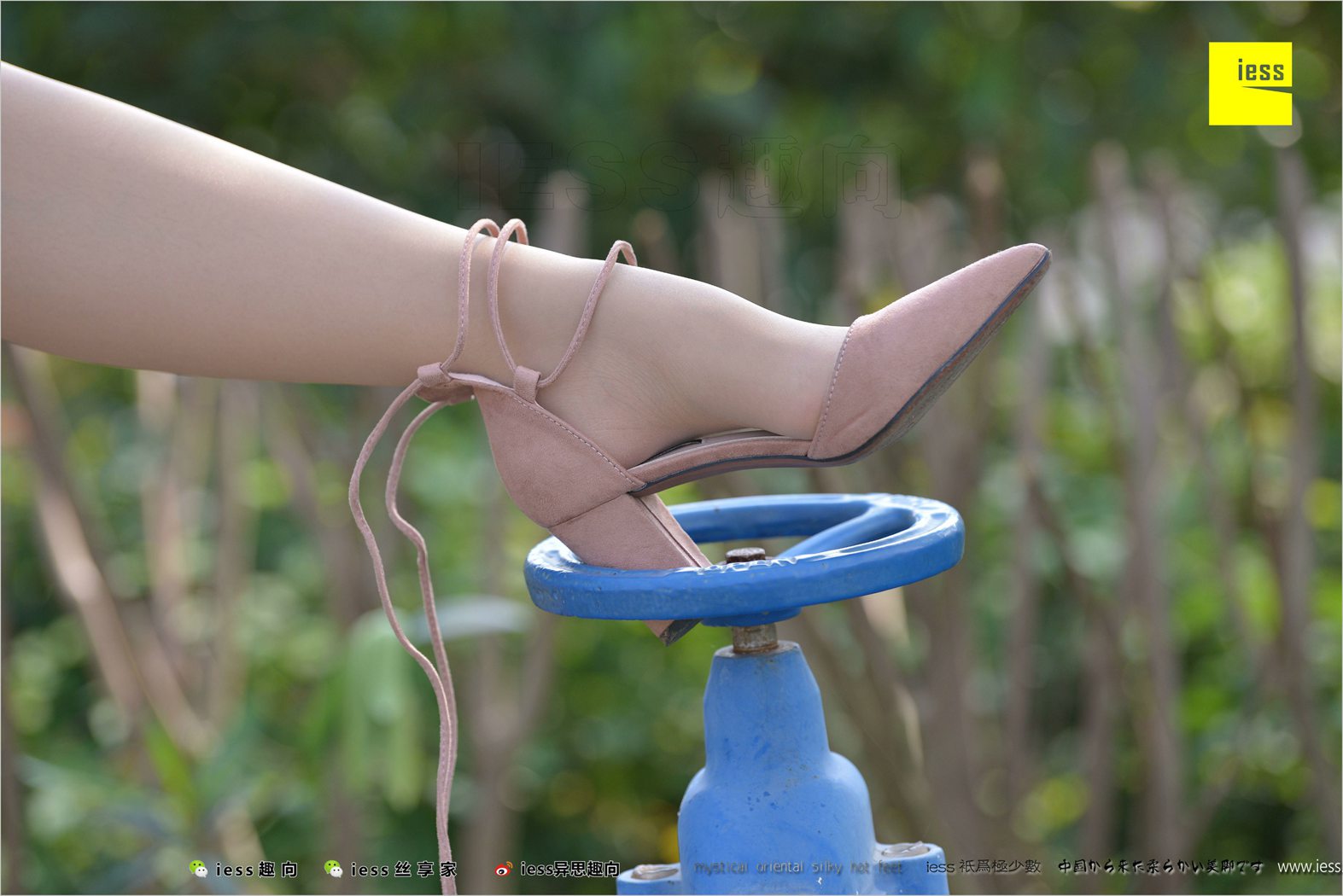 图片[32]-[IESS异思趣向] 2018.04.11 丝足便当215：《足鉴》馨月 在线浏览 – 速更版-美库