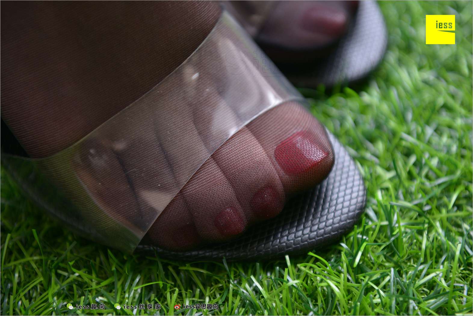 图片[41]-[IESS异思趣向] 2018.06.25 丝足便当244：《名利姐的黑丝大特写》 在线浏览 – 速更版-美库