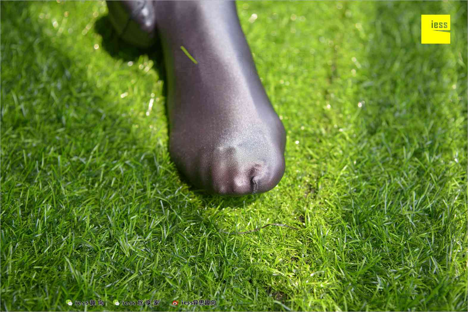 图片[99]-[IESS异思趣向] 2018.05.18 丝足便当232：《猎奇》YT 在线浏览 – 速更版-美库