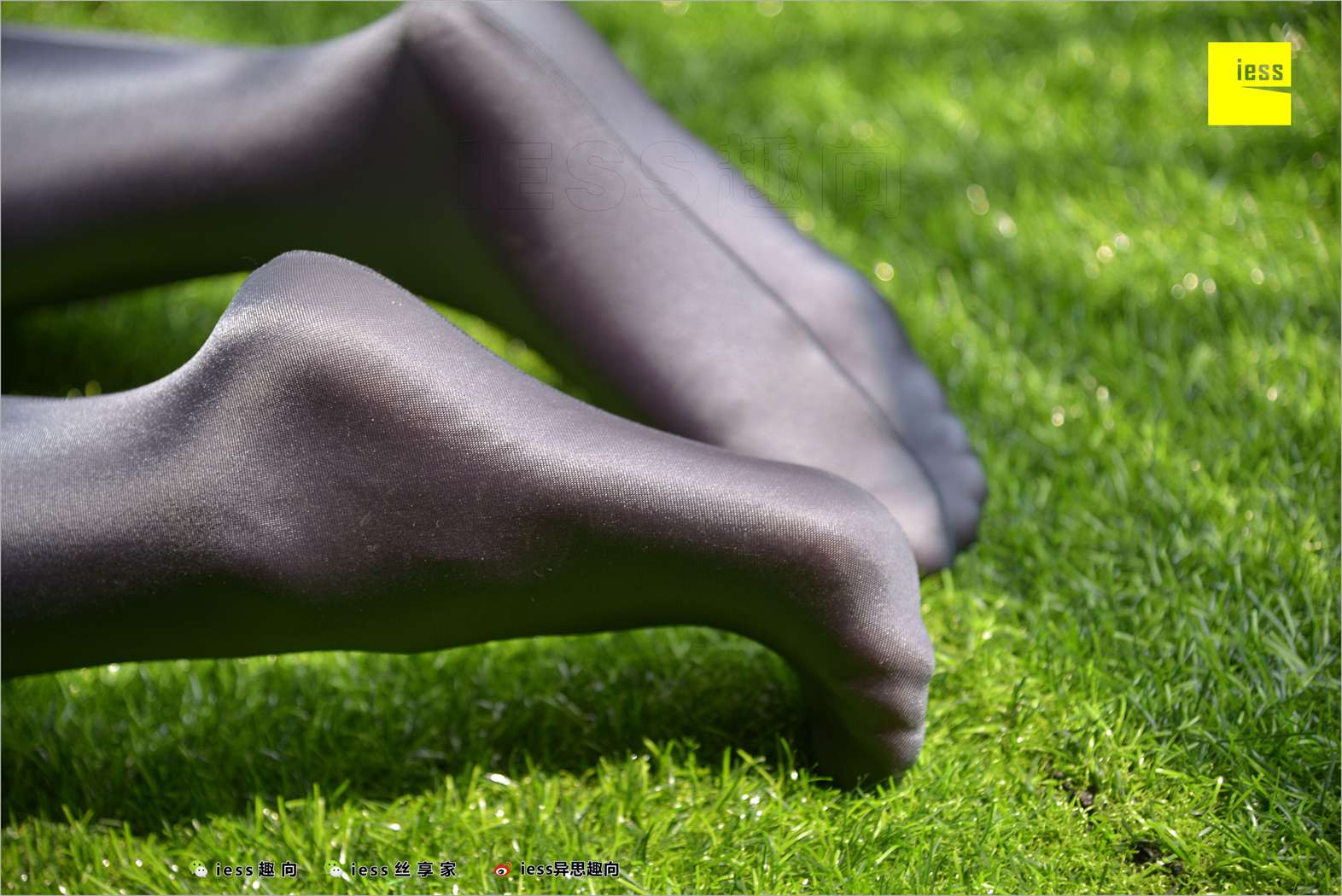 图片[50]-[IESS异思趣向] 2018.05.18 丝足便当232：《猎奇》YT 在线浏览 – 速更版-美库