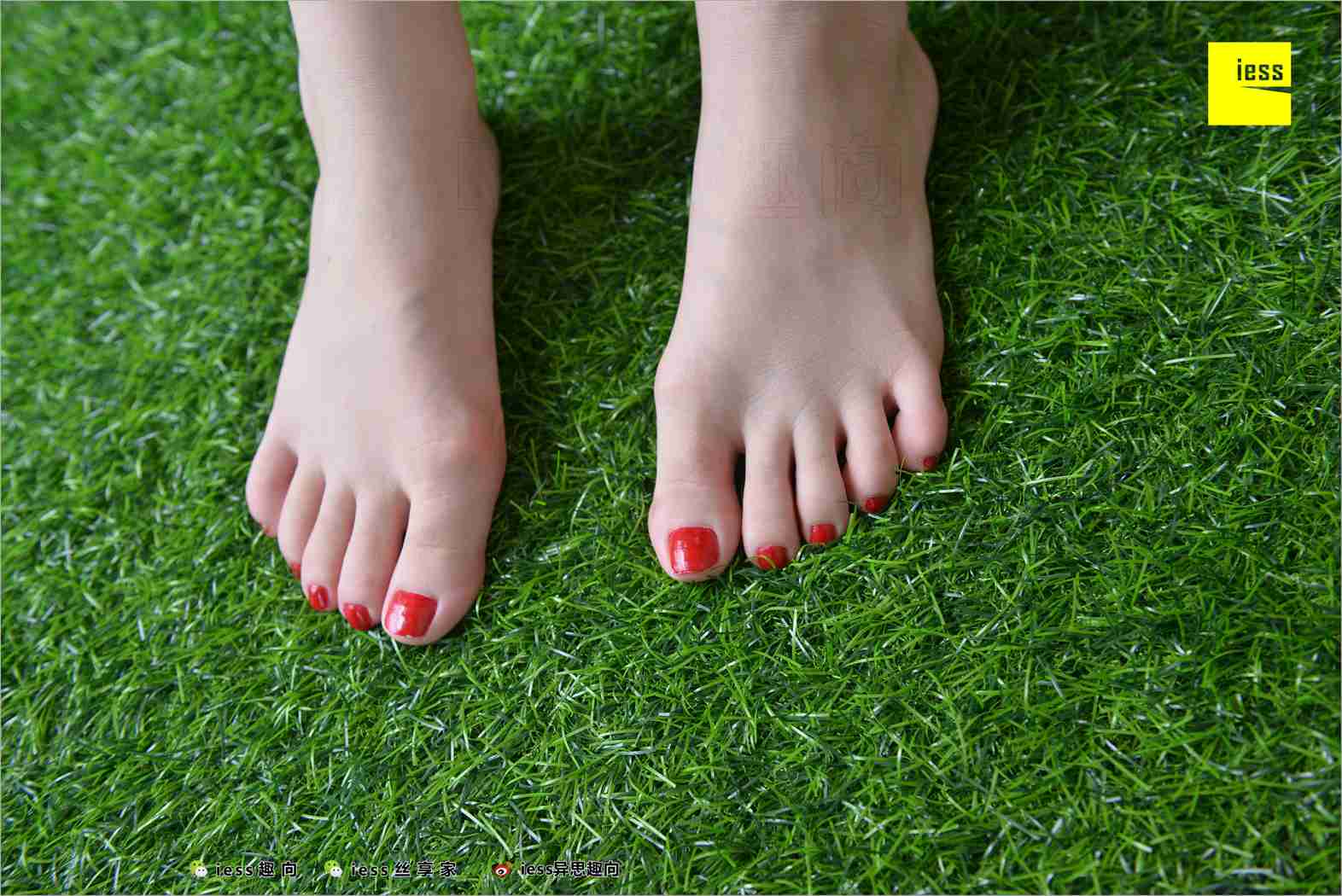 图片[42]-[IESS异思趣向] 2018.05.22 丝足便当234：《上上下下的享受》名利姐 在线浏览 – 速更版-美库