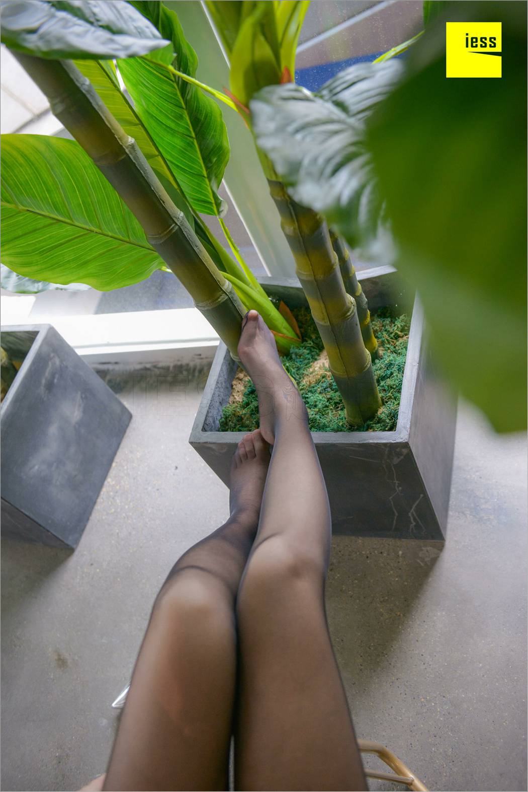 图片[72]-[IESS异思趣向] 2018.08.26 丝足便当264期：《梦呓3-免费》捷大 在线浏览 – 速更版-美库