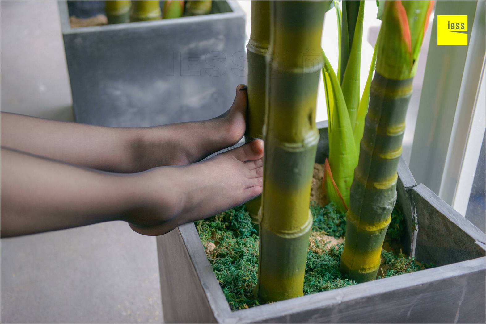 图片[76]-[IESS异思趣向] 2018.08.26 丝足便当264期：《梦呓3-免费》捷大 在线浏览 – 速更版-美库