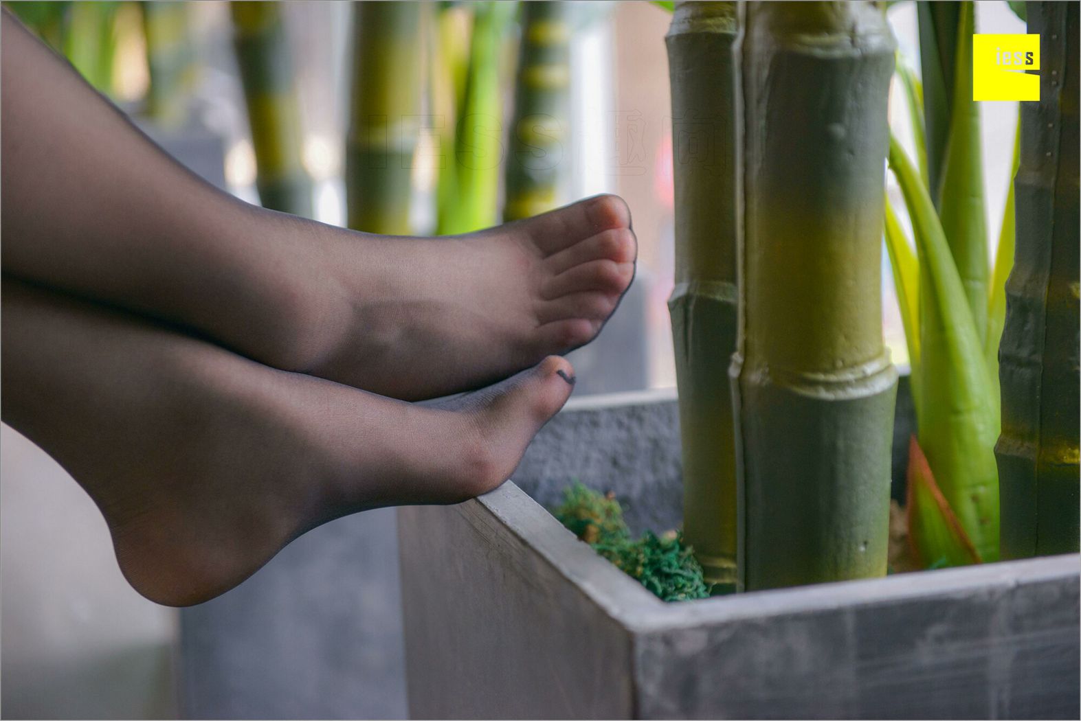 图片[52]-[IESS异思趣向] 2018.08.26 丝足便当264期：《梦呓3-免费》捷大 在线浏览 – 速更版-美库