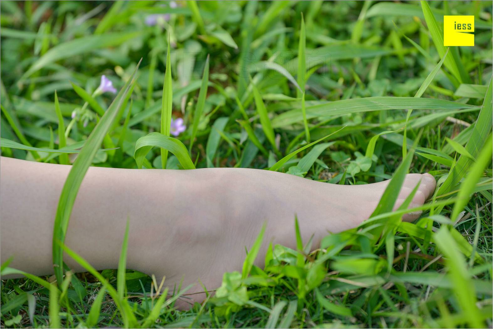 图片[46]-[IESS异思趣向] 2018.09.03 丝足便当MF.004：《梦呓4-白日梦》馨月 在线浏览 – 速更版-美库