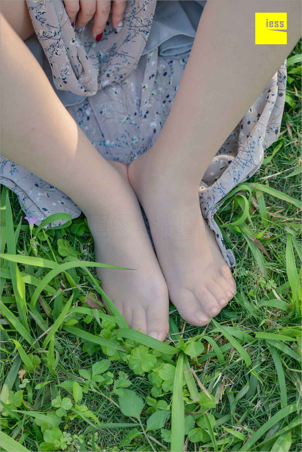 图片[28]-[IESS异思趣向] 2018.09.03 丝足便当MF.004：《梦呓4-白日梦》馨月 在线浏览 – 速更版-美库