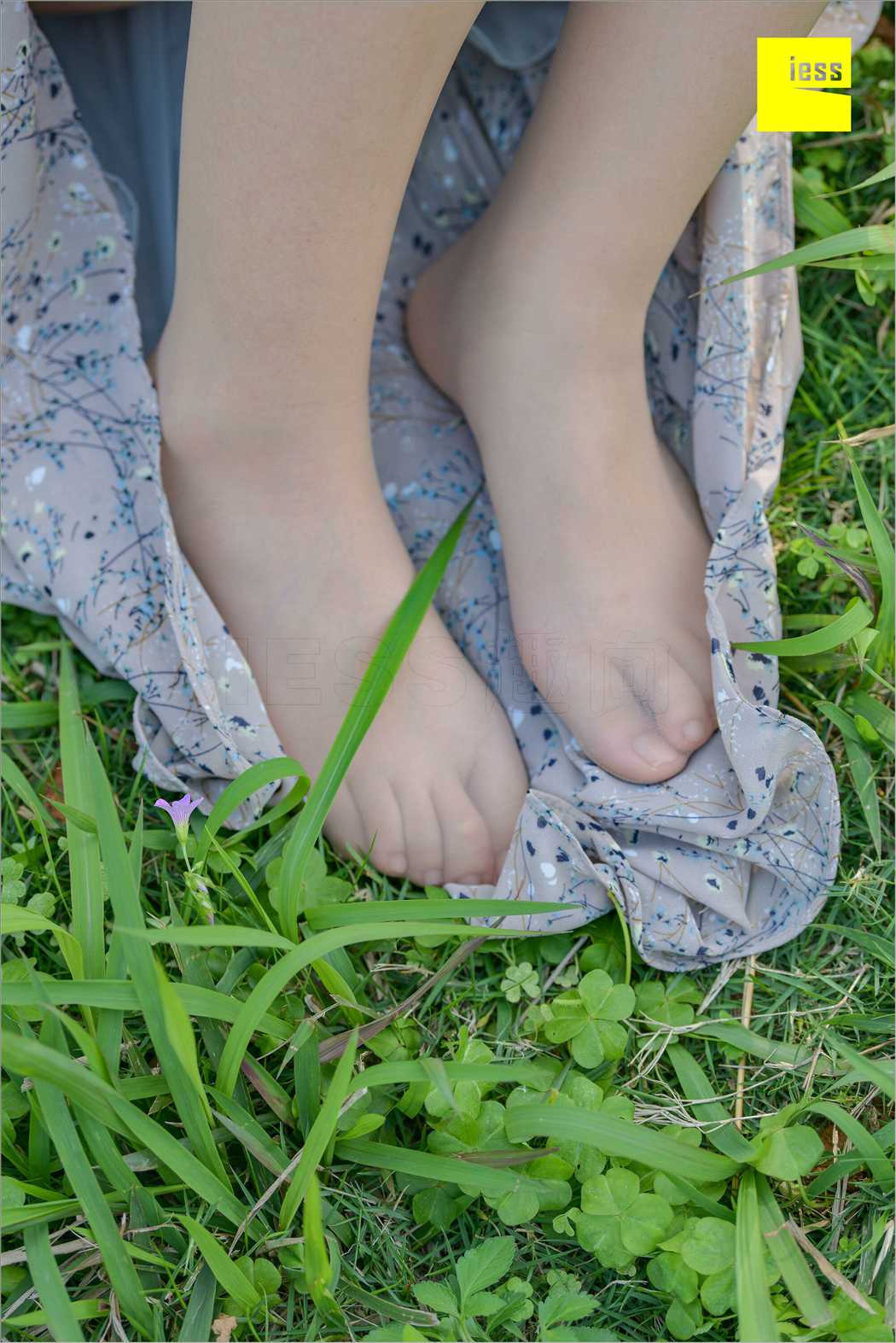 图片[75]-[IESS异思趣向] 2018.09.03 丝足便当MF.004：《梦呓4-白日梦》馨月 在线浏览 – 速更版-美库