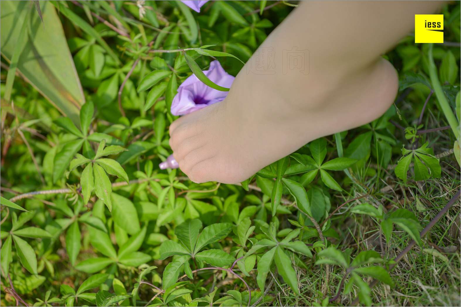 图片[24]-[IESS异思趣向] 2018.09.03 丝足便当MF.004：《梦呓4-白日梦》馨月 在线浏览 – 速更版-美库