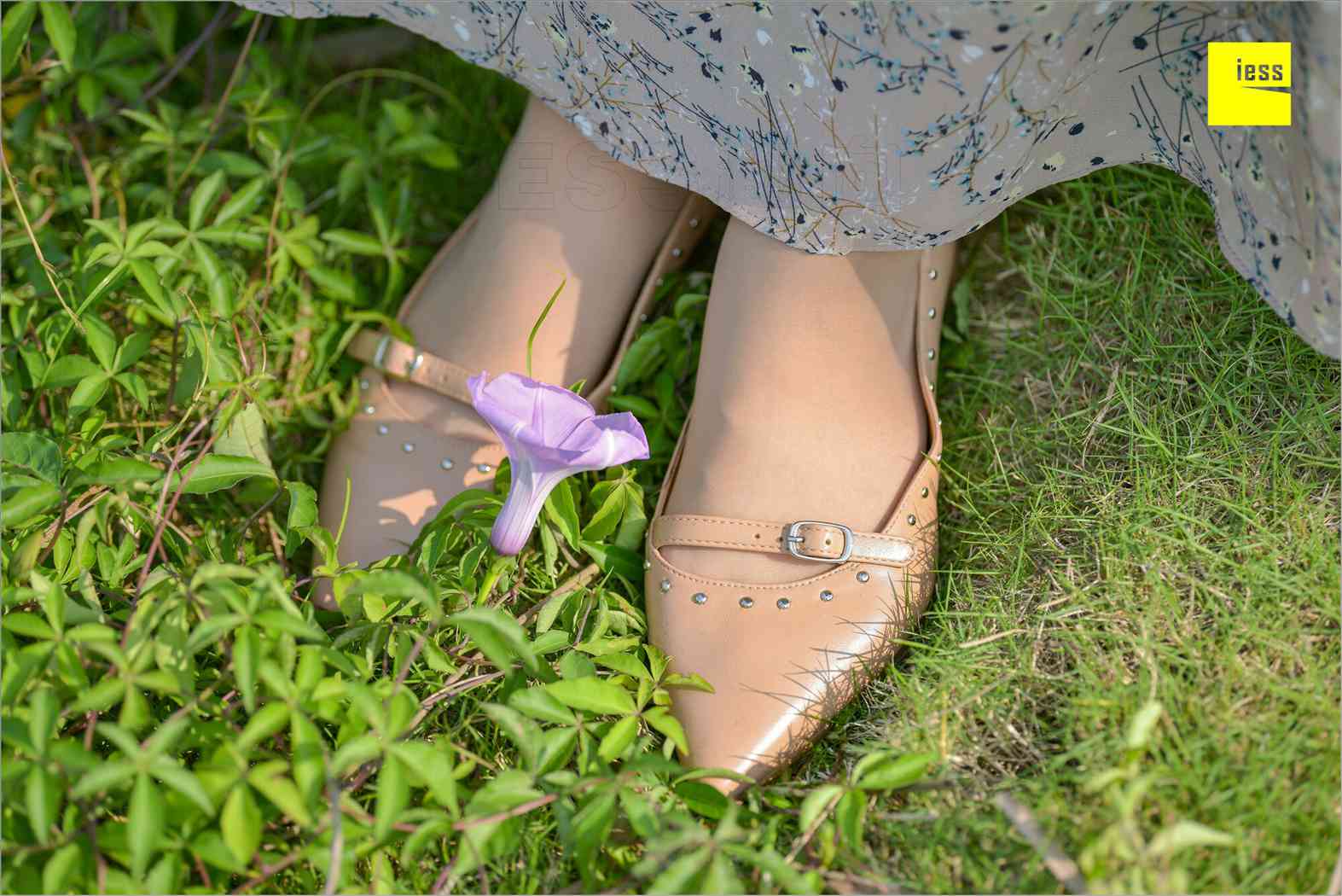 图片[61]-[IESS异思趣向] 2018.09.03 丝足便当MF.004：《梦呓4-白日梦》馨月 在线浏览 – 速更版-美库