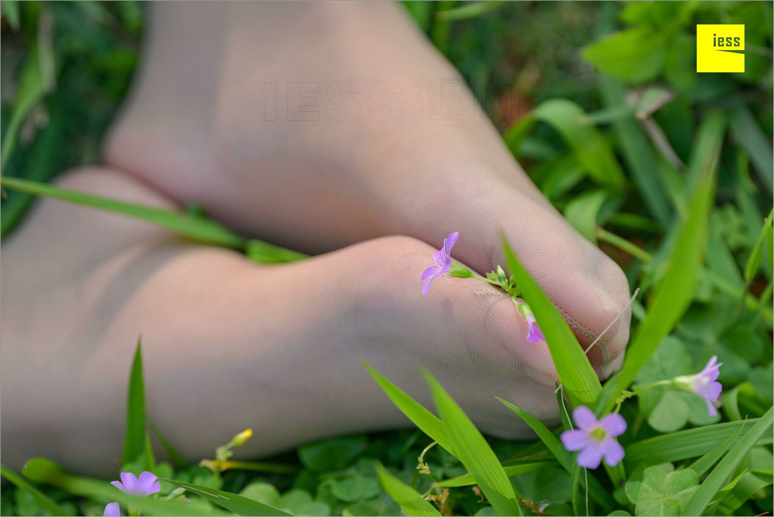 图片[6]-[IESS异思趣向] 2018.09.03 丝足便当MF.004：《梦呓4-白日梦》馨月 在线浏览 – 速更版-美库