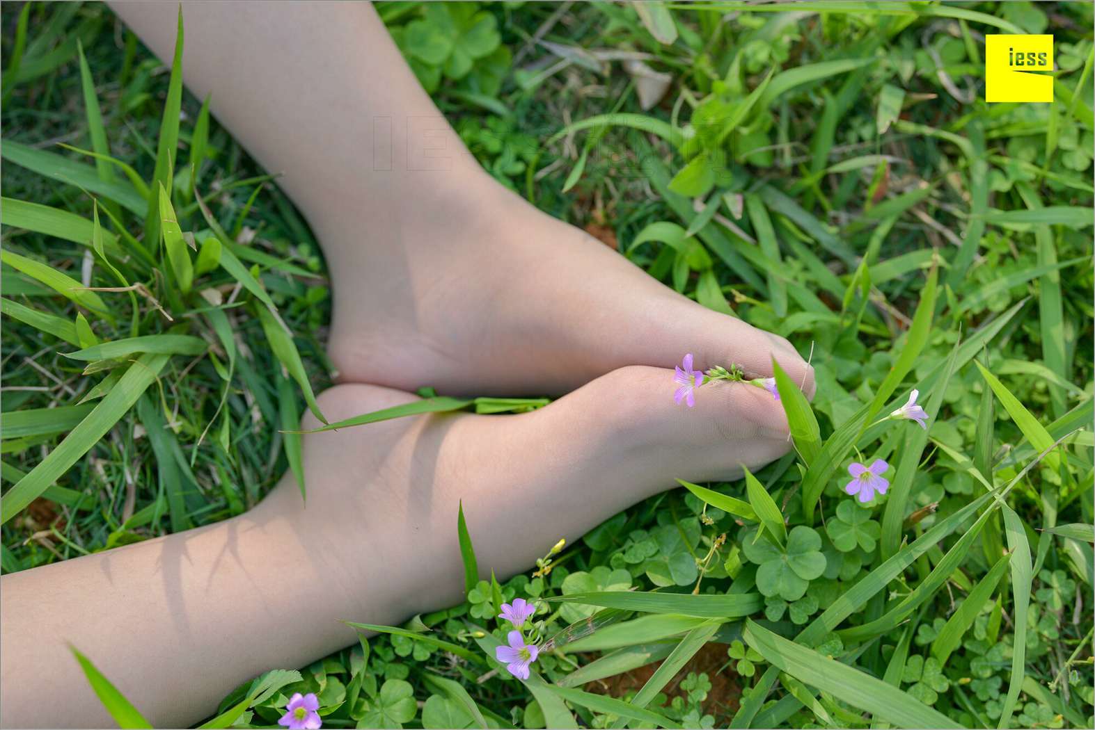 图片[73]-[IESS异思趣向] 2018.09.03 丝足便当MF.004：《梦呓4-白日梦》馨月 在线浏览 – 速更版-美库