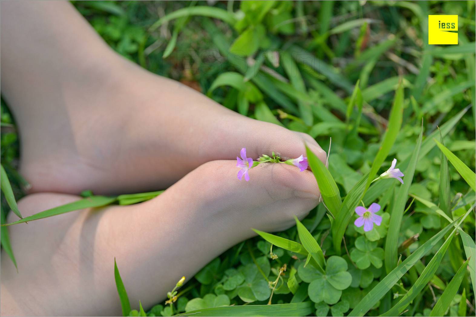 图片[43]-[IESS异思趣向] 2018.09.03 丝足便当MF.004：《梦呓4-白日梦》馨月 在线浏览 – 速更版-美库