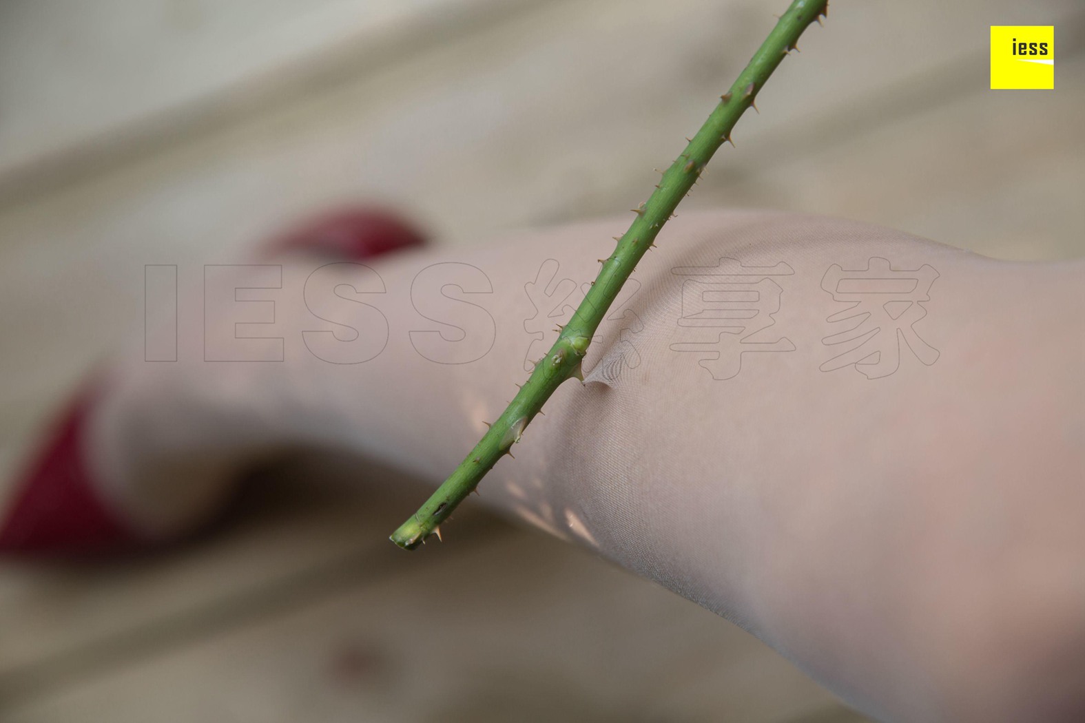 图片[92]-[IESS异思趣向]【魔鬼周三】特刊30期 – 花艺师 婉萍 在线浏览 – 速更版-美库