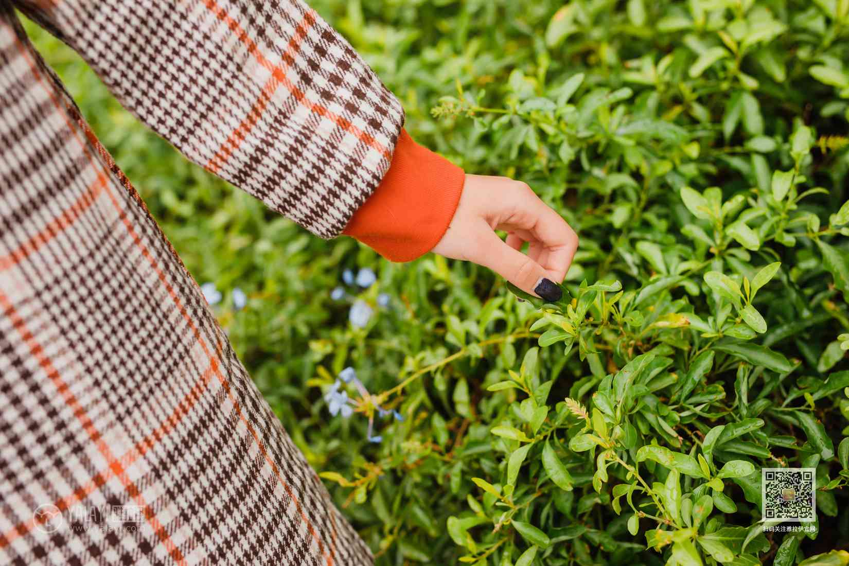 图片[26]-[YALAYI雅拉伊] 2020.02.13 Vol.543 郊游 小五 在线浏览 – 速更版-美库