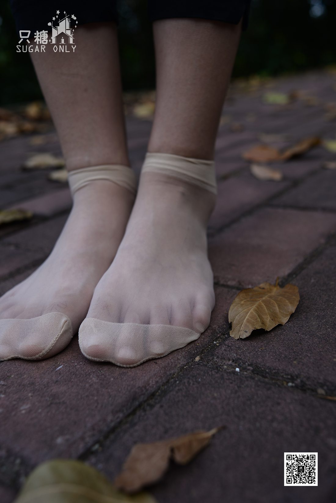 图片[128]-[只糖棉袜] NO.037 嘉琪 – 秋叶里的小白鞋 在线浏览 – 速更版-美库