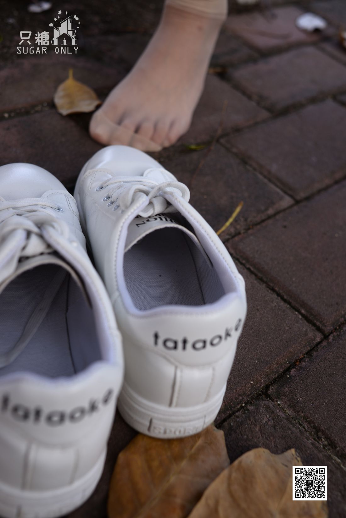 图片[13]-[只糖棉袜] NO.037 嘉琪 – 秋叶里的小白鞋 在线浏览 – 速更版-美库