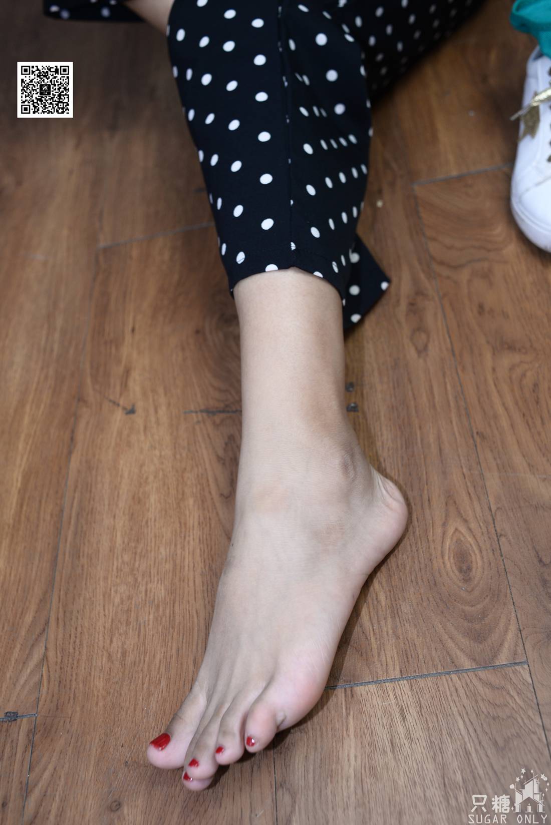 图片[64]-[只糖棉袜] NO.042 陈韵 永不凋零 在线浏览 – 速更版-美库