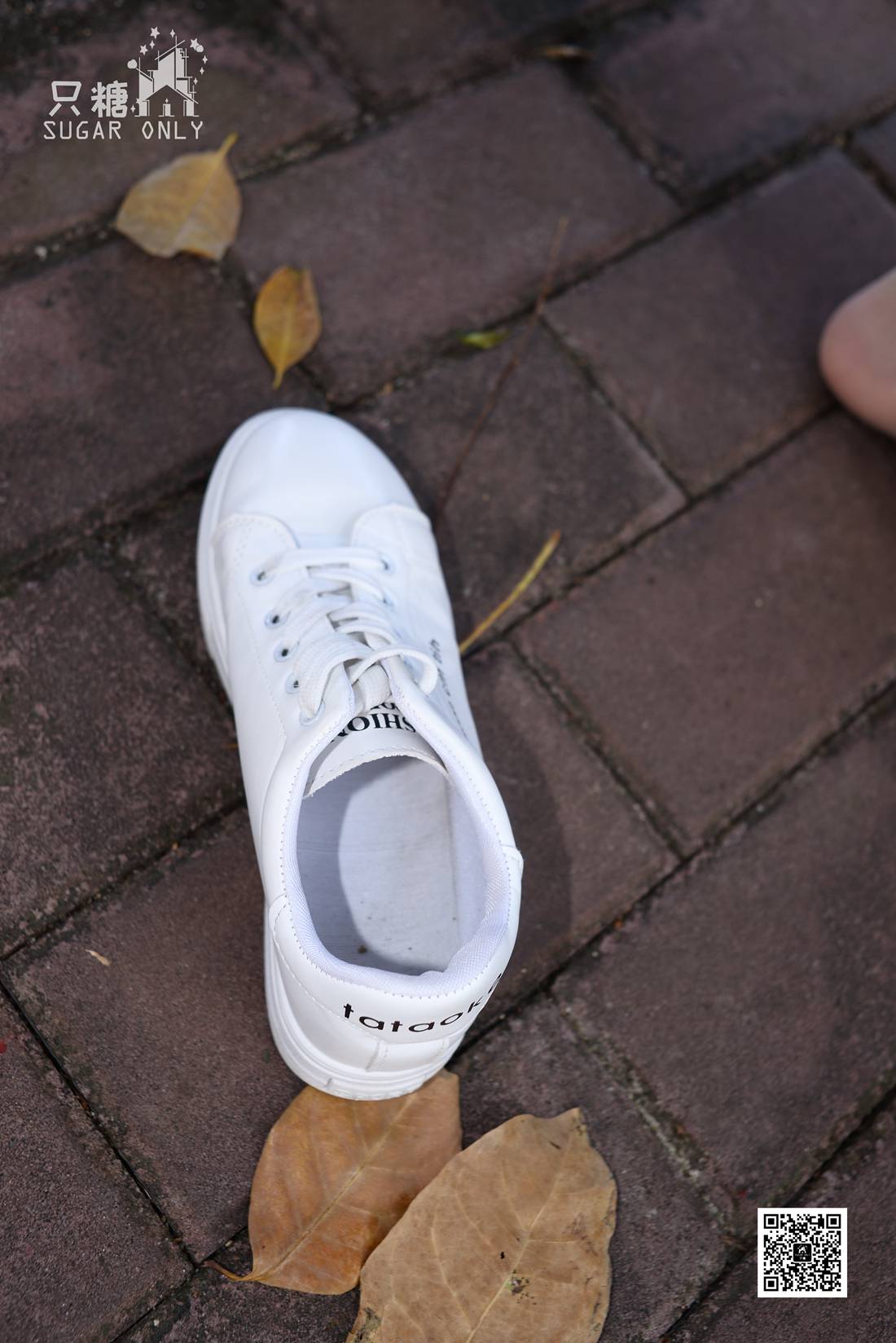 图片[89]-[只糖棉袜] NO.037 嘉琪 – 秋叶里的小白鞋 在线浏览 – 速更版-美库