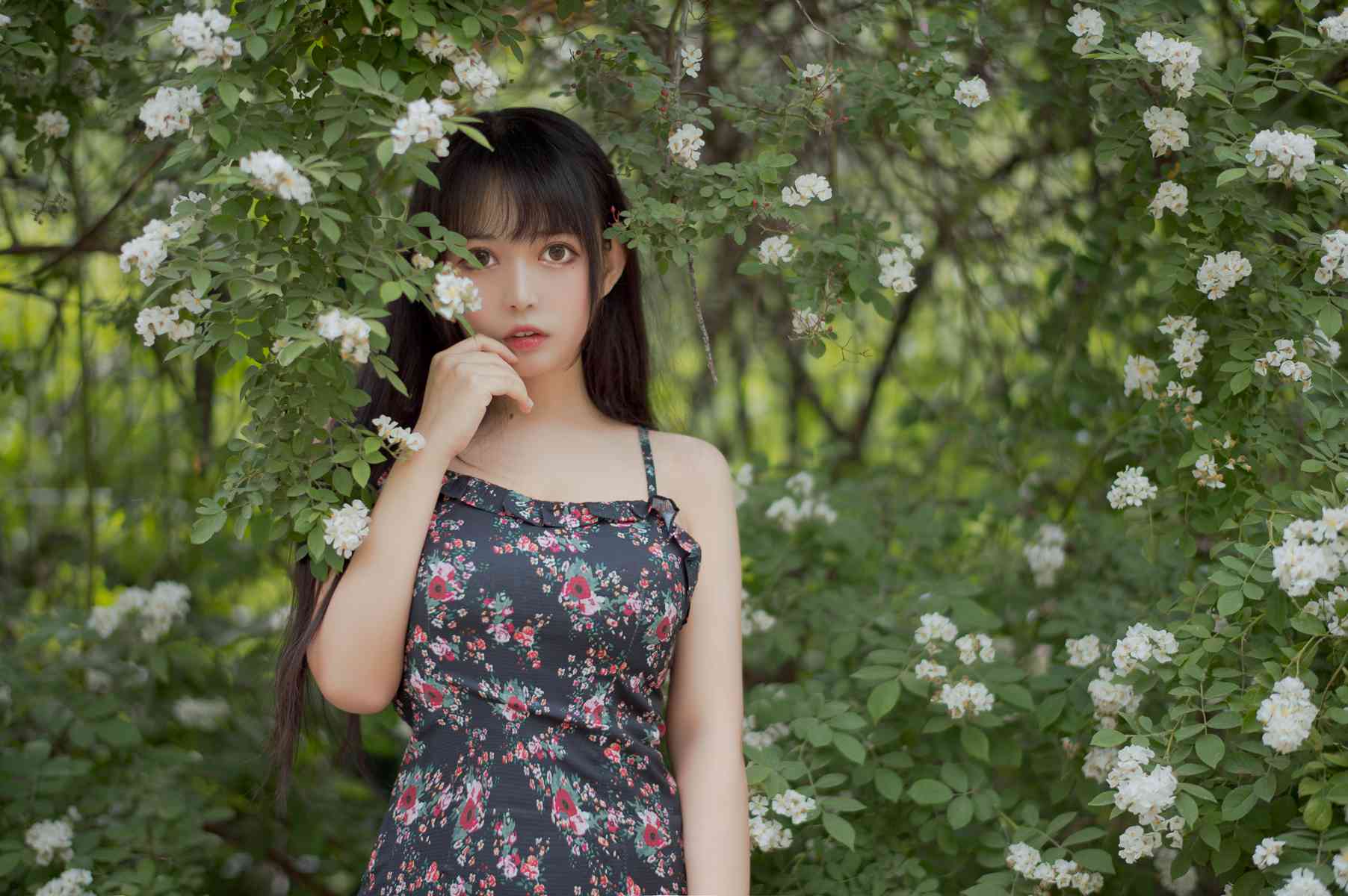 大眼萌妹@黑猫猫OvO - 蔷薇1 在线浏览 - 速更版-绅士图
