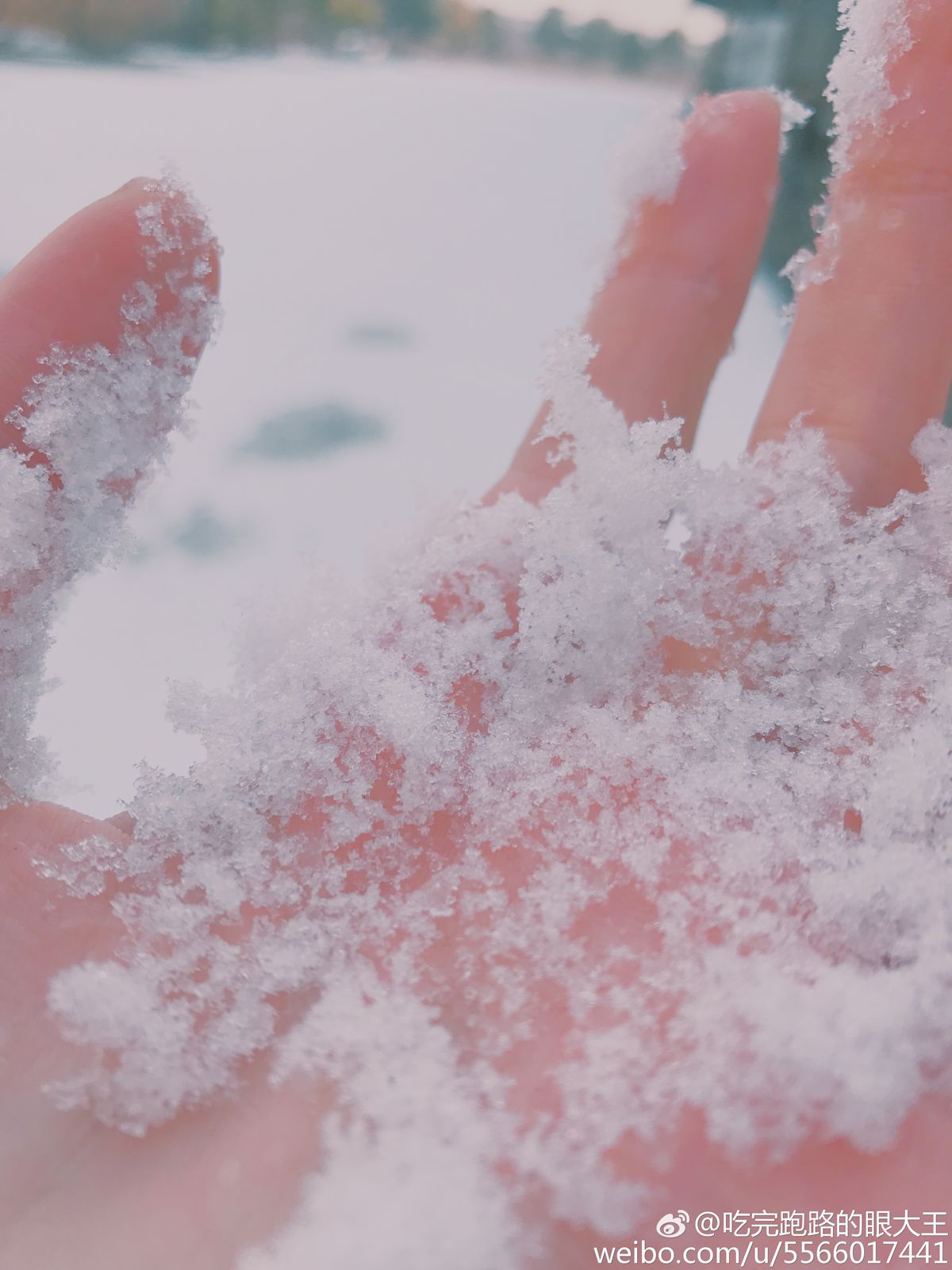 图片[21]-眼酱大魔王w@微博散图 在线浏览 – 速更版-美库