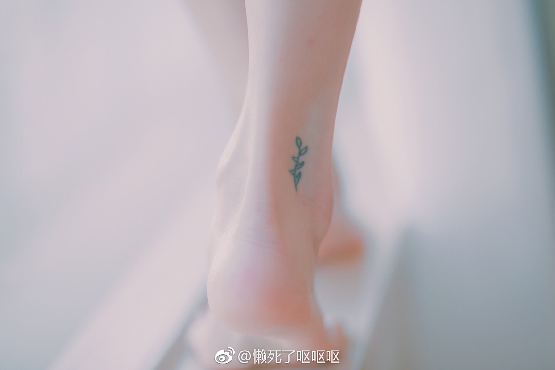 图片[40]-眼酱大魔王w@微博散图 在线浏览 – 速更版-美库