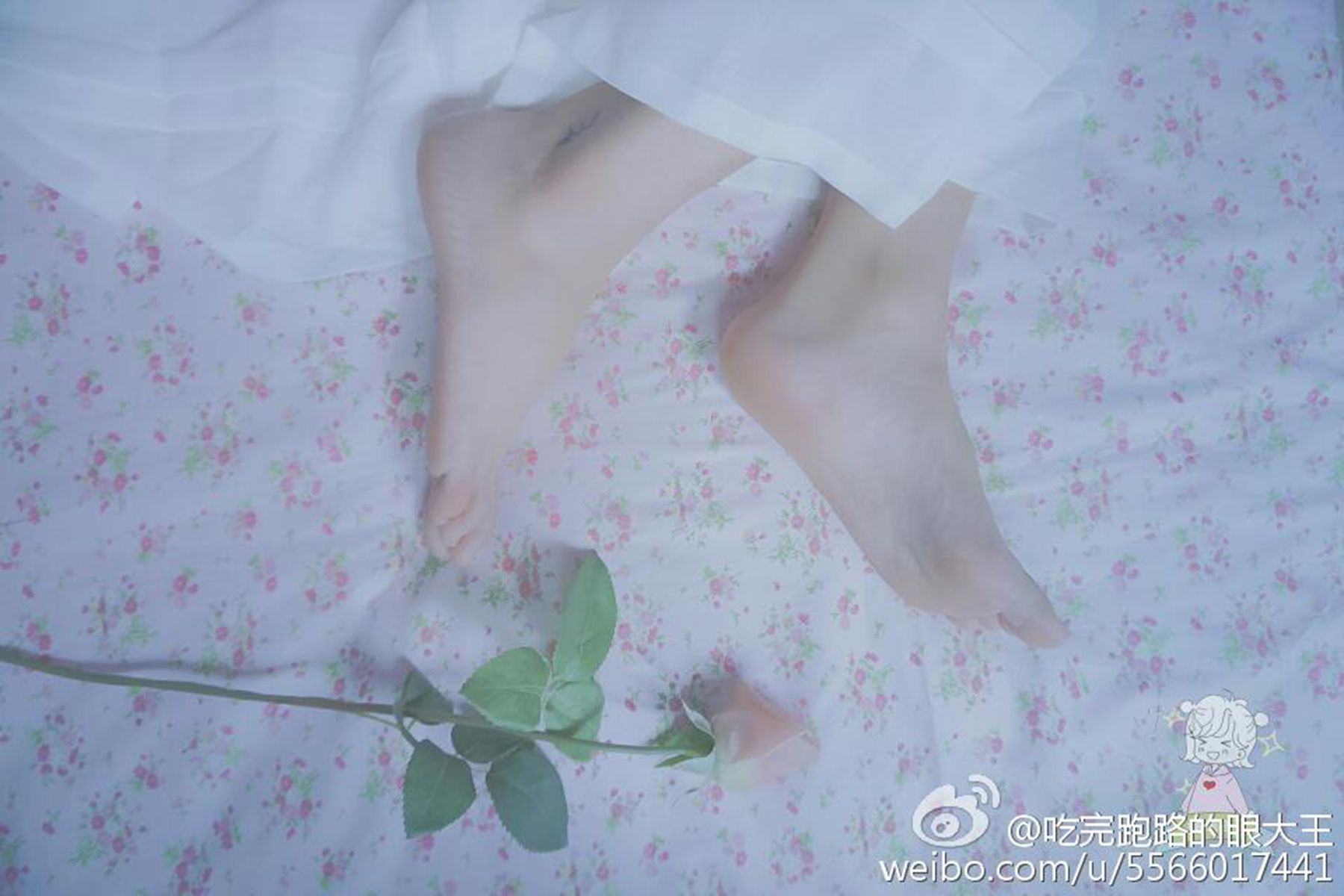 图片[94]-眼酱大魔王w@微博散图 在线浏览 – 速更版-美库