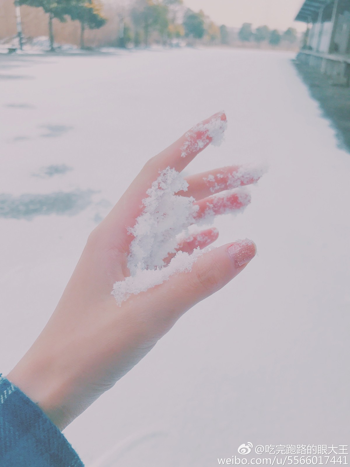 图片[115]-眼酱大魔王w@微博散图 在线浏览 – 速更版-美库