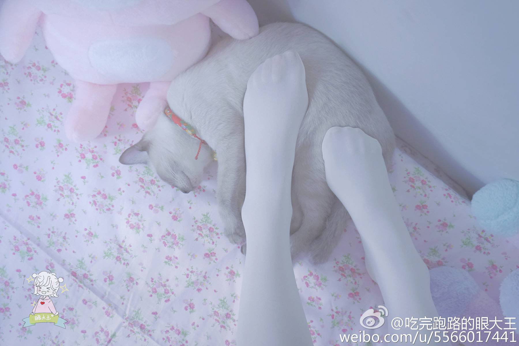 图片[166]-眼酱大魔王w@微博散图 在线浏览 – 速更版-美库