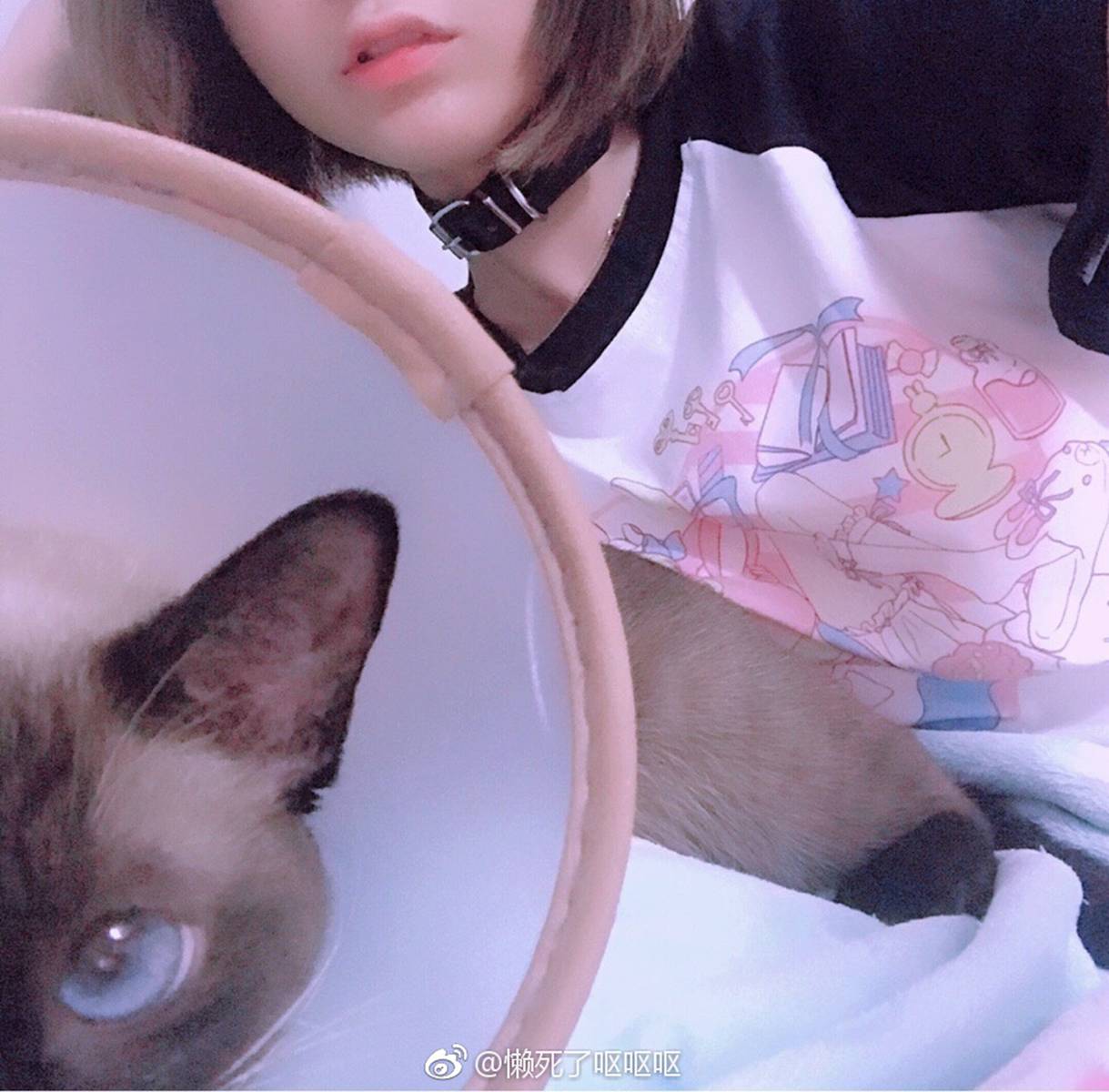 图片[171]-眼酱大魔王w@微博散图 在线浏览 – 速更版-美库