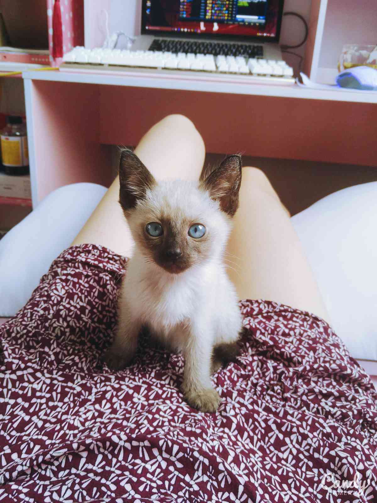 图片[137]-眼酱大魔王w@贴吧散图 在线浏览 – 速更版-美库