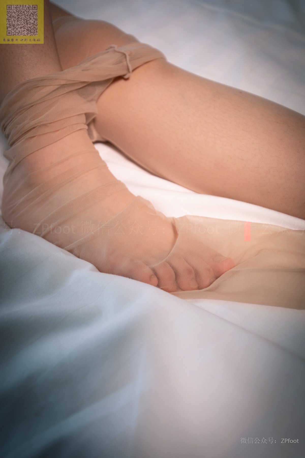 图片[24]-[山茶摄影] NO.158 丝袜穿搭01 在线浏览 – 速更版-美库