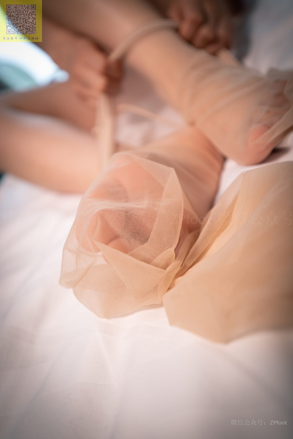 图片[30]-[山茶摄影] NO.158 丝袜穿搭01 在线浏览 – 速更版-美库