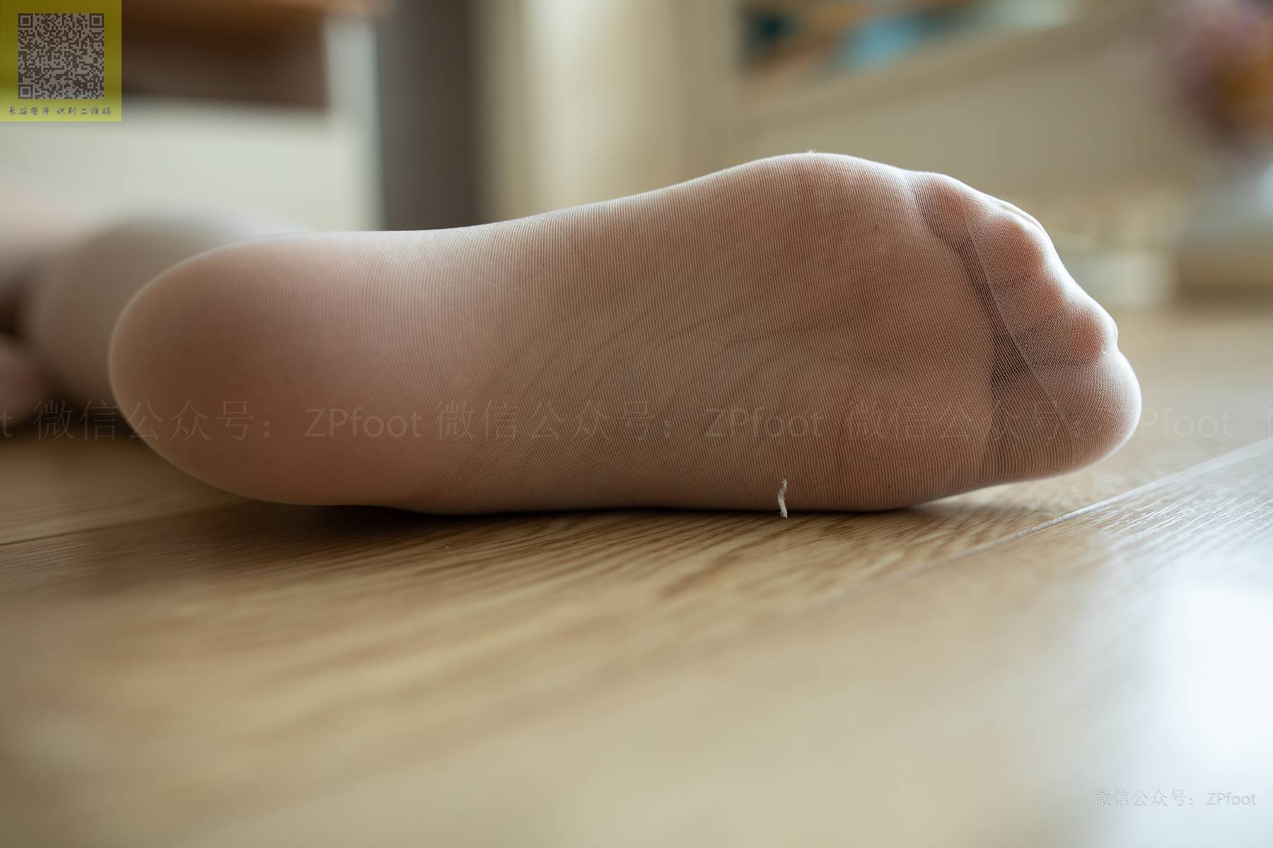 图片[26]-[山茶摄影] NO.161 丝袜穿搭04 在线浏览 – 速更版-美库