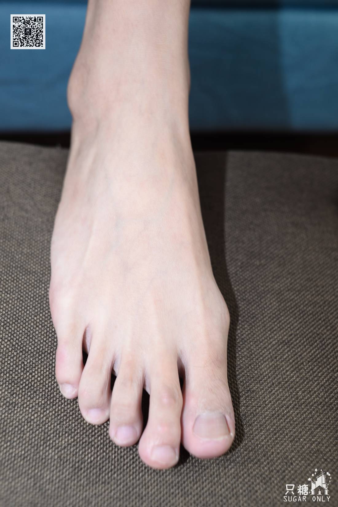 图片[138]-[只糖棉袜] NO.074 鱼儿 这里有一份秋天的温柔 在线浏览 – 速更版-美库