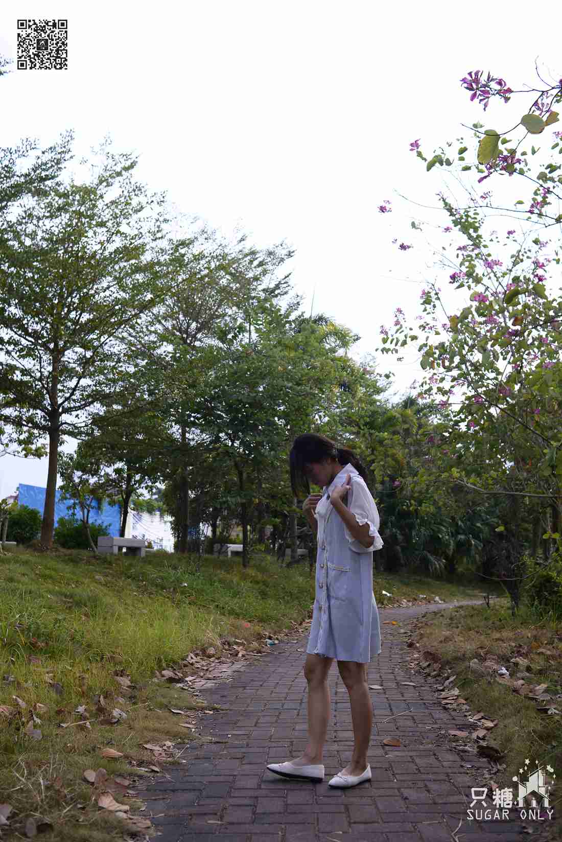 图片[141]-[只糖棉袜] NO.075 薄荷 听叶落下的声音 在线浏览 – 速更版-美库