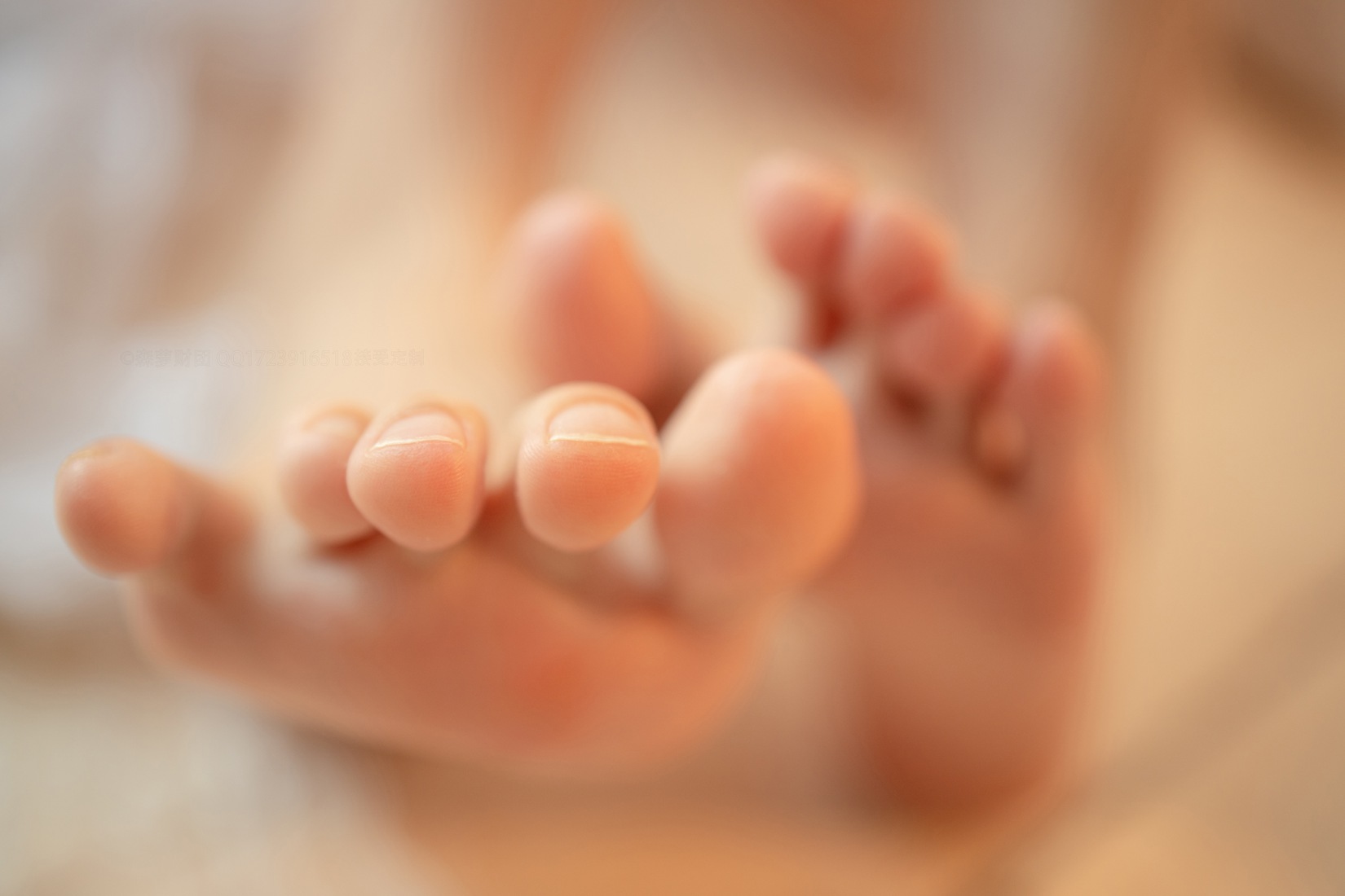 图片[79]-[森萝财团写真] ALPHA-020 爱花写真 在线浏览 – 速更版-美库